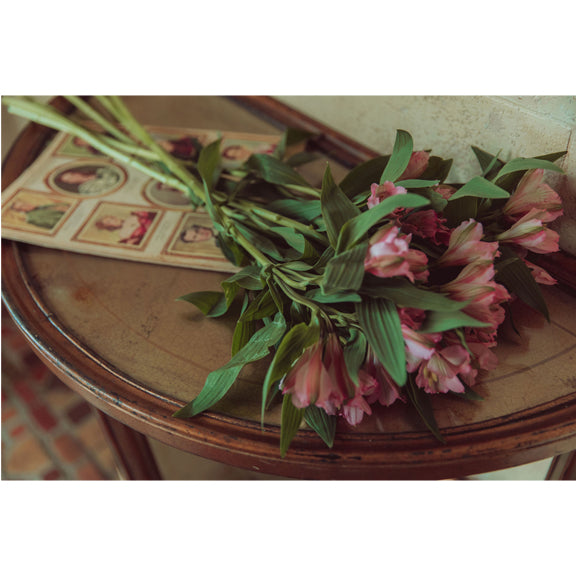 New Lace Skirted Thong by Kilo Brava